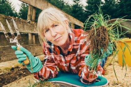 Kova su piktžolėmis – sunkus viso sezono darbas, juolab kad dažniausiai tuos nelygius mūšius pralaimime.
