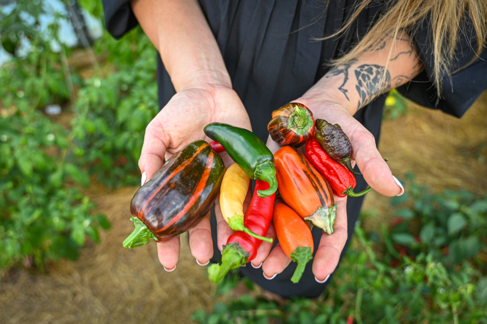 Simona Steponavičienė. P. Židonio nuotr. 