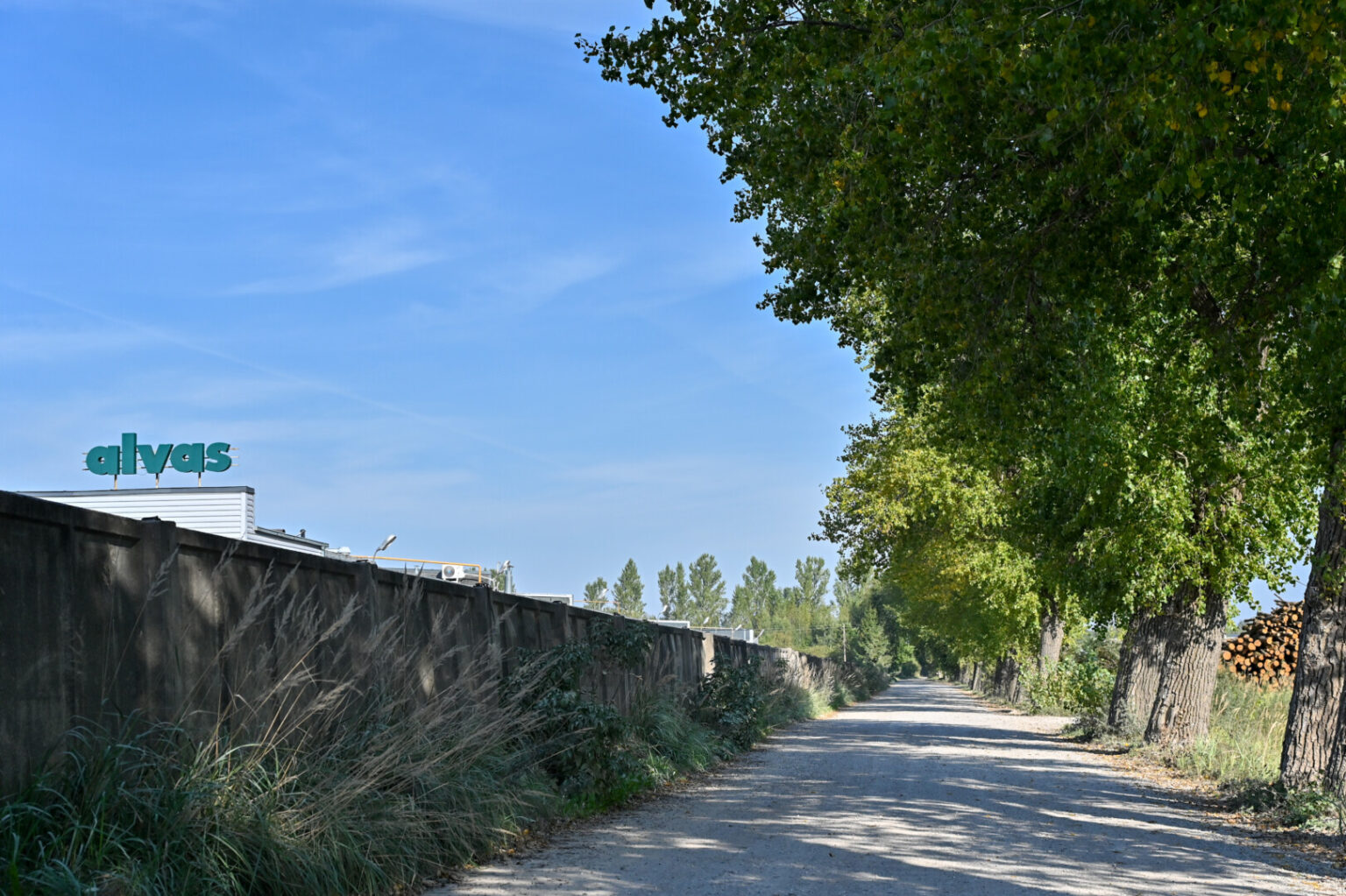 Ilgus metus panevėžiečių laikoma viena baisiausių mieste žvyruotų gatvių – Rėklių – pagaliau kitais metais turėtų sulaukti kelininkų.