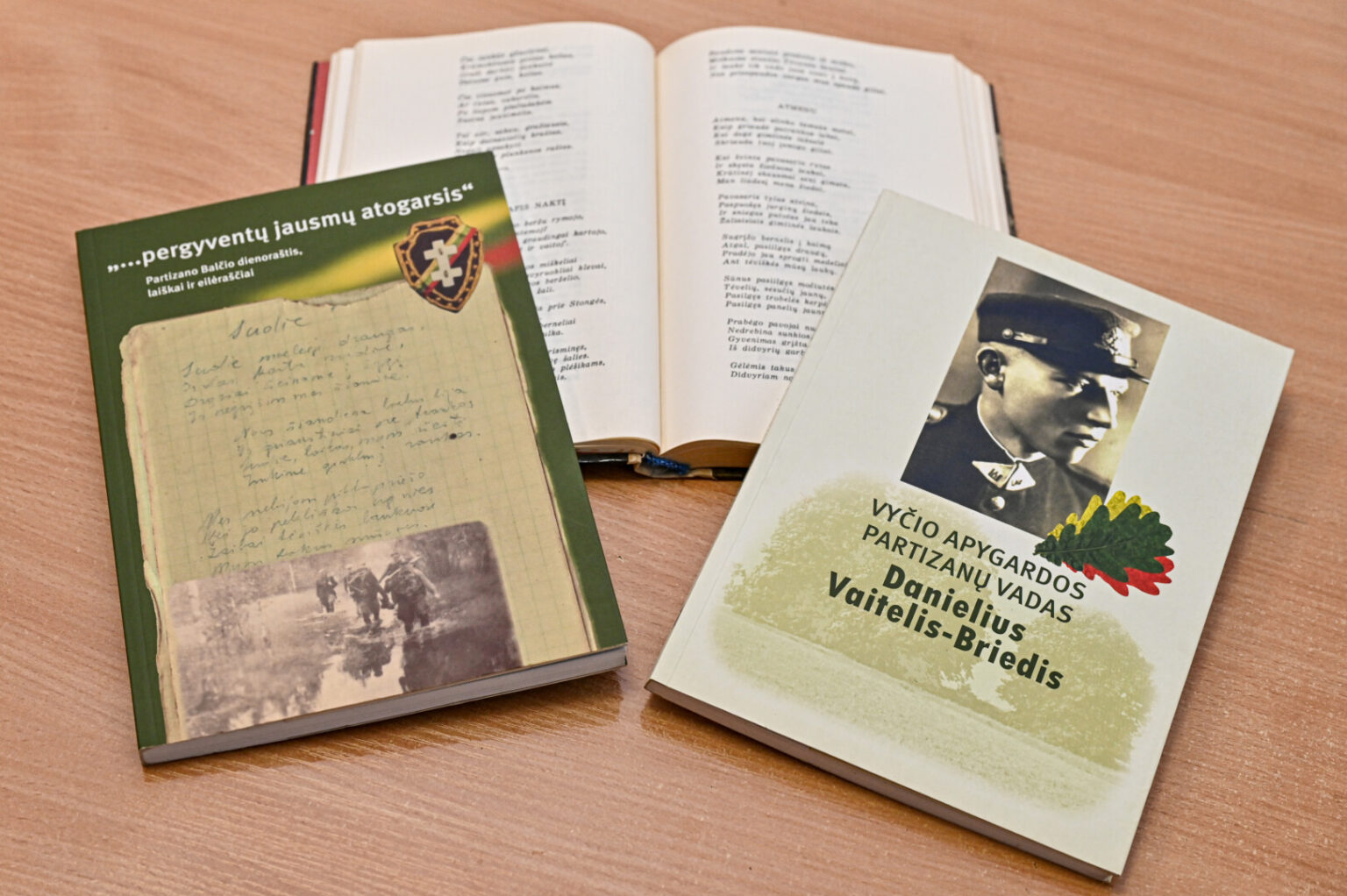 Nuo pat gimimo kiekvieno lietuvio gyvenime skambėjusios dainos partizanų kartą išlydėjo ir į miškus. Jos teikė stiprybės sunkiausiais pasipriešinimo sovietiniams okupantams metais, tapdavo išgyvenimų metraščiais ir laisvės šaukliais užgrobtai tautai.