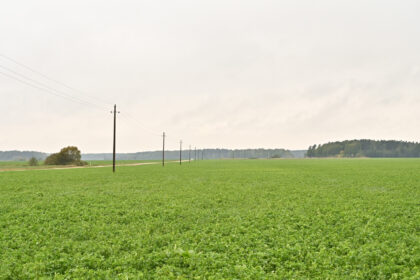 Visą straipsnį skaitykite spalio 11 dienos (penktadienio) „Sekundės“ laikraštyje. Prenumeruokite https://prenumerata.sekunde.lt/ – yra ir PDF formatu.