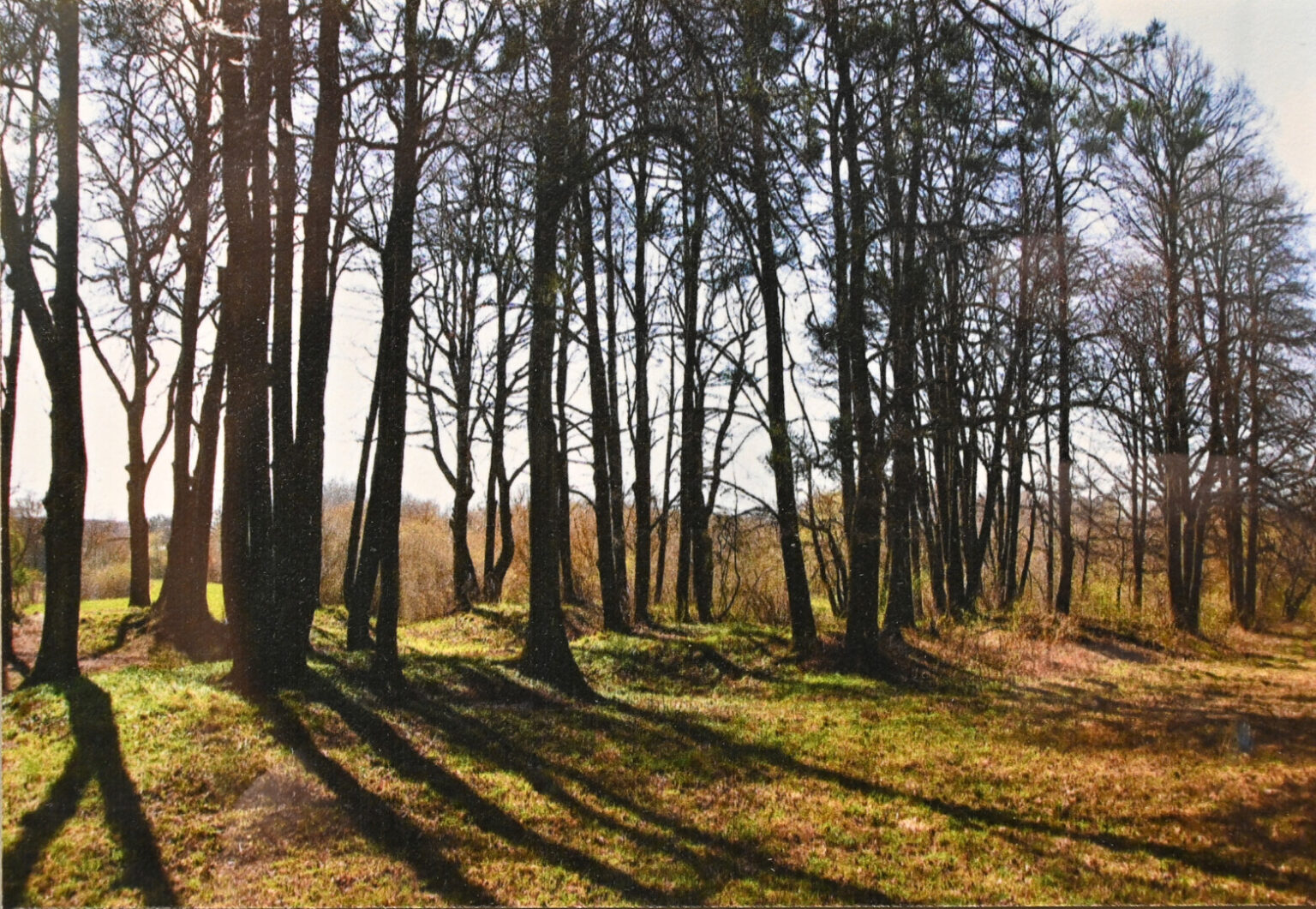 Panevėžio pašonėje besiglaudžiančiuose Berčiūnuose ir prieš šimtus metų virė gyvenimas.