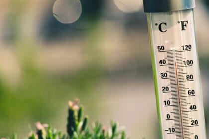 Kodėl pasaulis iki šiol nesusitarė dėl bendros temperatūrų matavimo sistemos ir kaip kai kurios valstybės sugeba naudotis keliomis tokiomis sistemomis ir nesusipainioti.