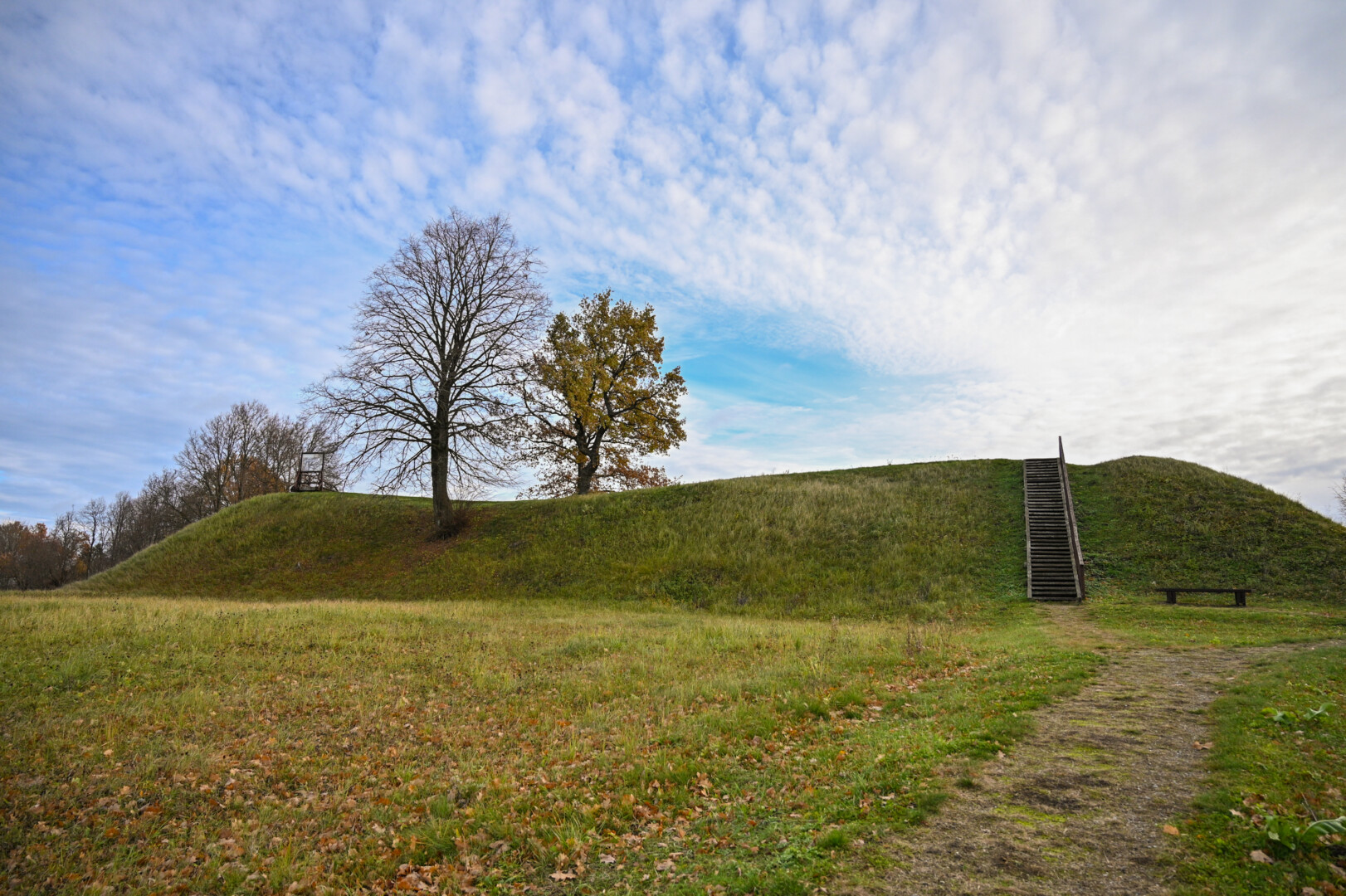 Bakainių piliakalnis. P. ŽIDONIO nuotr.