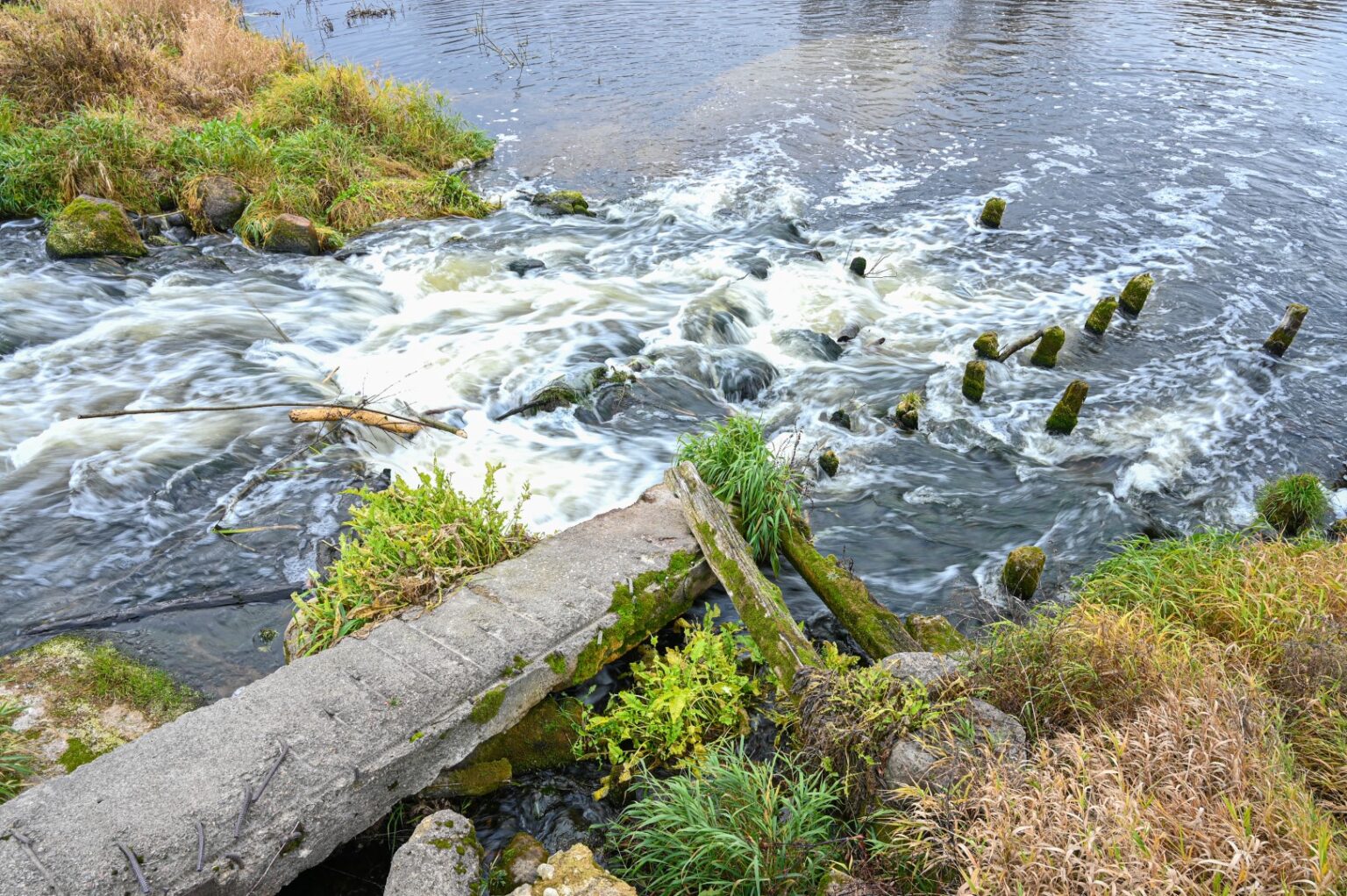 Paprastai manoma, kad Panevėžio rajono upės yra nesraunios ir vandens malūnams šiame krašte nėra vietos.