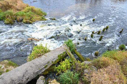 Paprastai manoma, kad Panevėžio rajono upės yra nesraunios ir vandens malūnams šiame krašte nėra vietos.