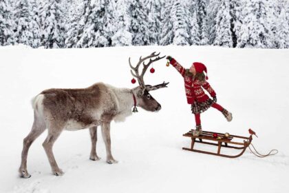 Pažįstamos nepažįstamos Kalėdos