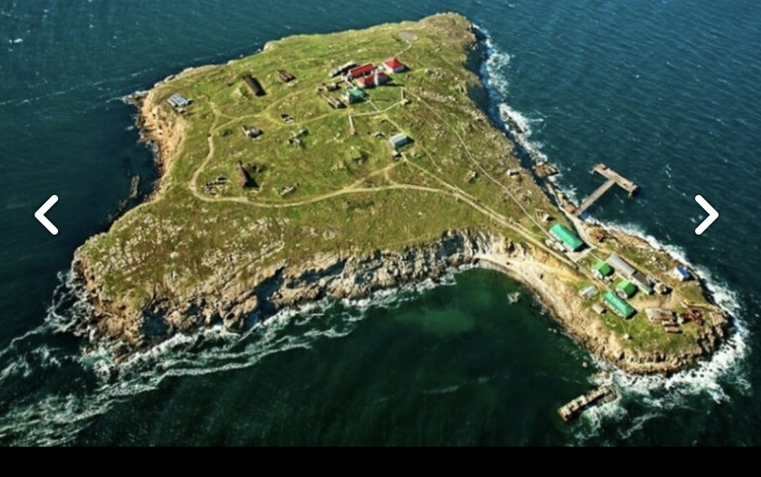 Gyvačių sala yra mažytė, bet strategiškai labai svarbi. E. BUTRIMO nuotr.