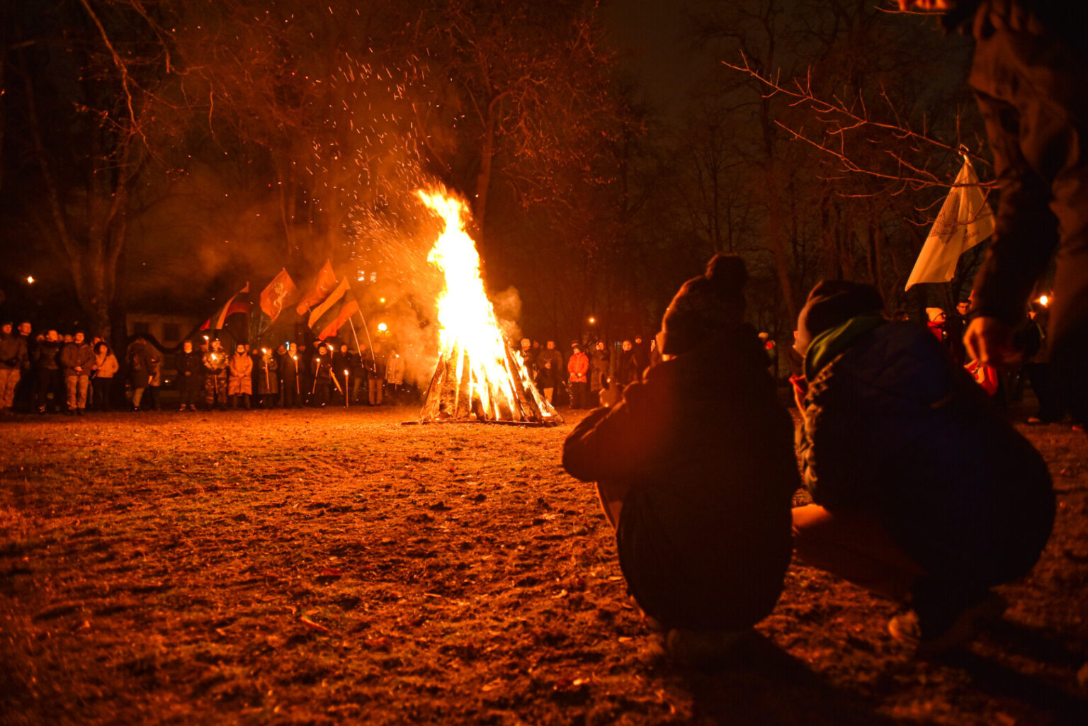Siekiant įprasminti Sausio 13-osios įvykių atminimą ir Laisvės gynėjų auką Lietuvai, Seimo pirmininkas Saulius Skvernelis siūlo šią dieną paskelbti nedarbo diena.
