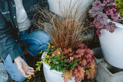 Madingiausia šių metų spalva, skirtingai nei pernykštė ar užpernykštė, taps nemenku iššūkiu norintiesiems surinkti tiek žydinčių augalų, kad užpildytų visą gėlyną.