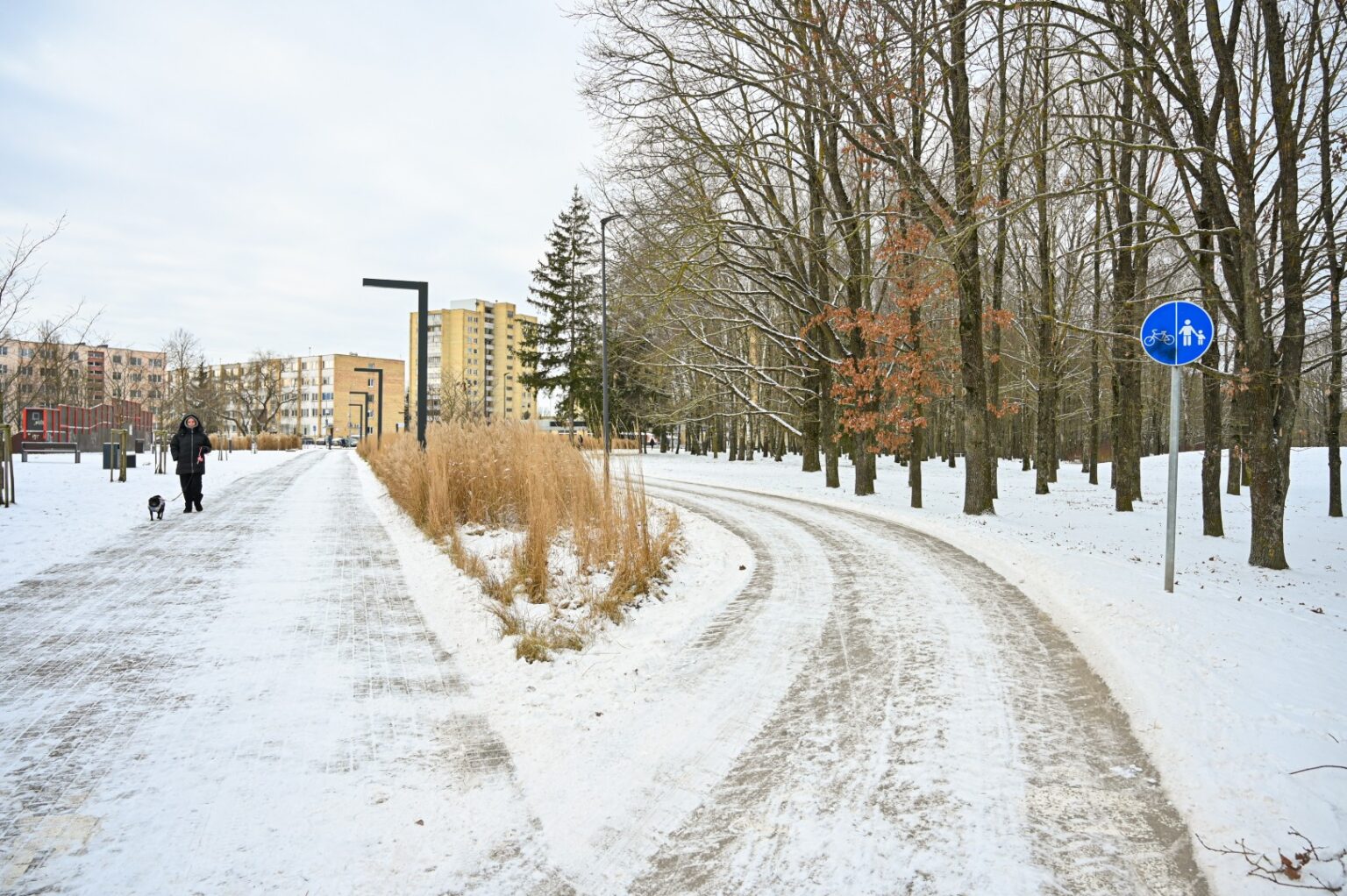 Panevėžio savivaldybės skelbiami bendruomenės iniciatyvų konkursai ne tik netapo akstinu panevėžiečiams realizuoti savo kūrybiškas idėjas tobulinant miesto viešąsias erdves, bet, atvirkščiai, nuslopino azartą teikti pasiūlymus.