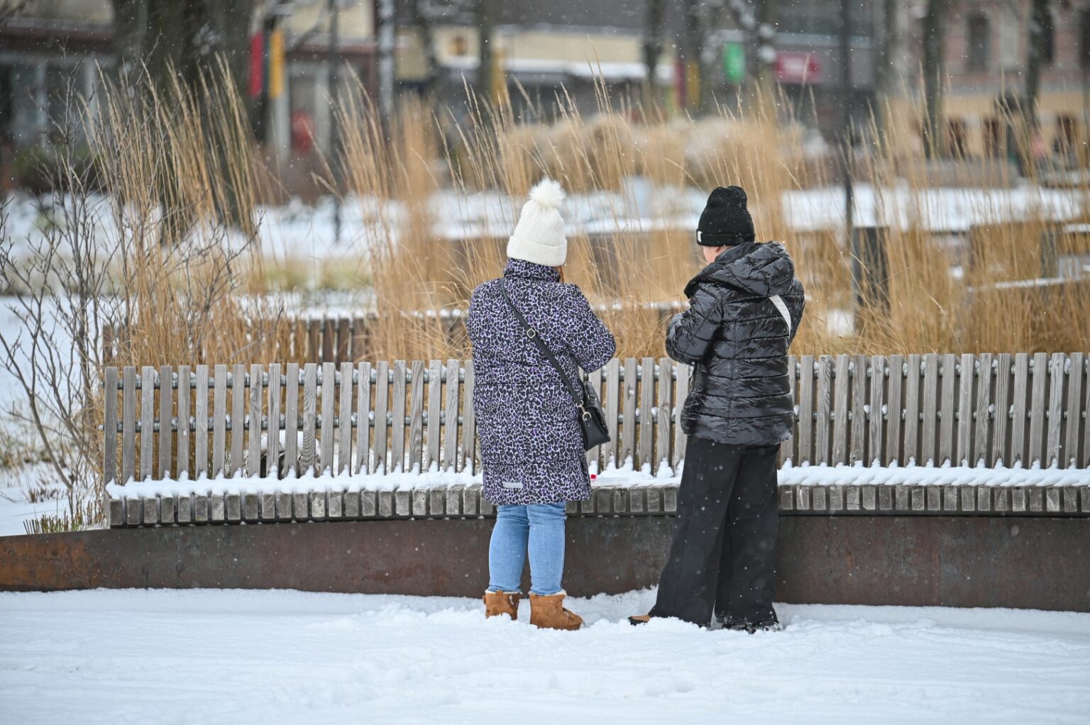 Siūlo išplėsti jaunimo apibrėžimo sąvoką
