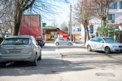 Šylant orams, sodininkų ir daržininkų keliai veda į ūkininkų turgų Panevėžyje.
