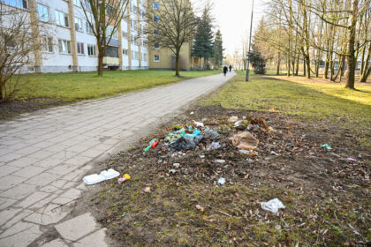 Parko gatvėje įsikūrusią biblioteką lankantiems panevėžiečiams norom nenorom tenka praeiti pro baisų šiukšlyną po šios kultūros įstaigos langais.