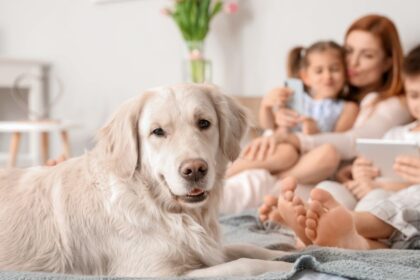Visi norime, kad mūsų ištikimi keturkojai draugai būtų su mumis kuo ilgiau – juk jie yra tikri šeimos nariai.