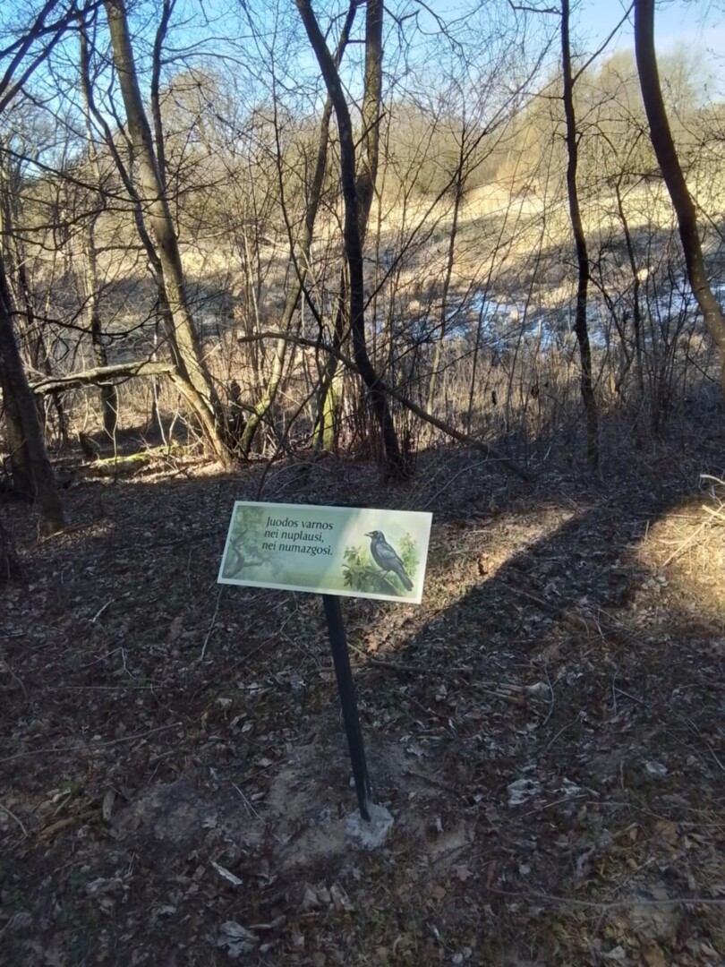 Egidijaus ANIULIO nuotr. 