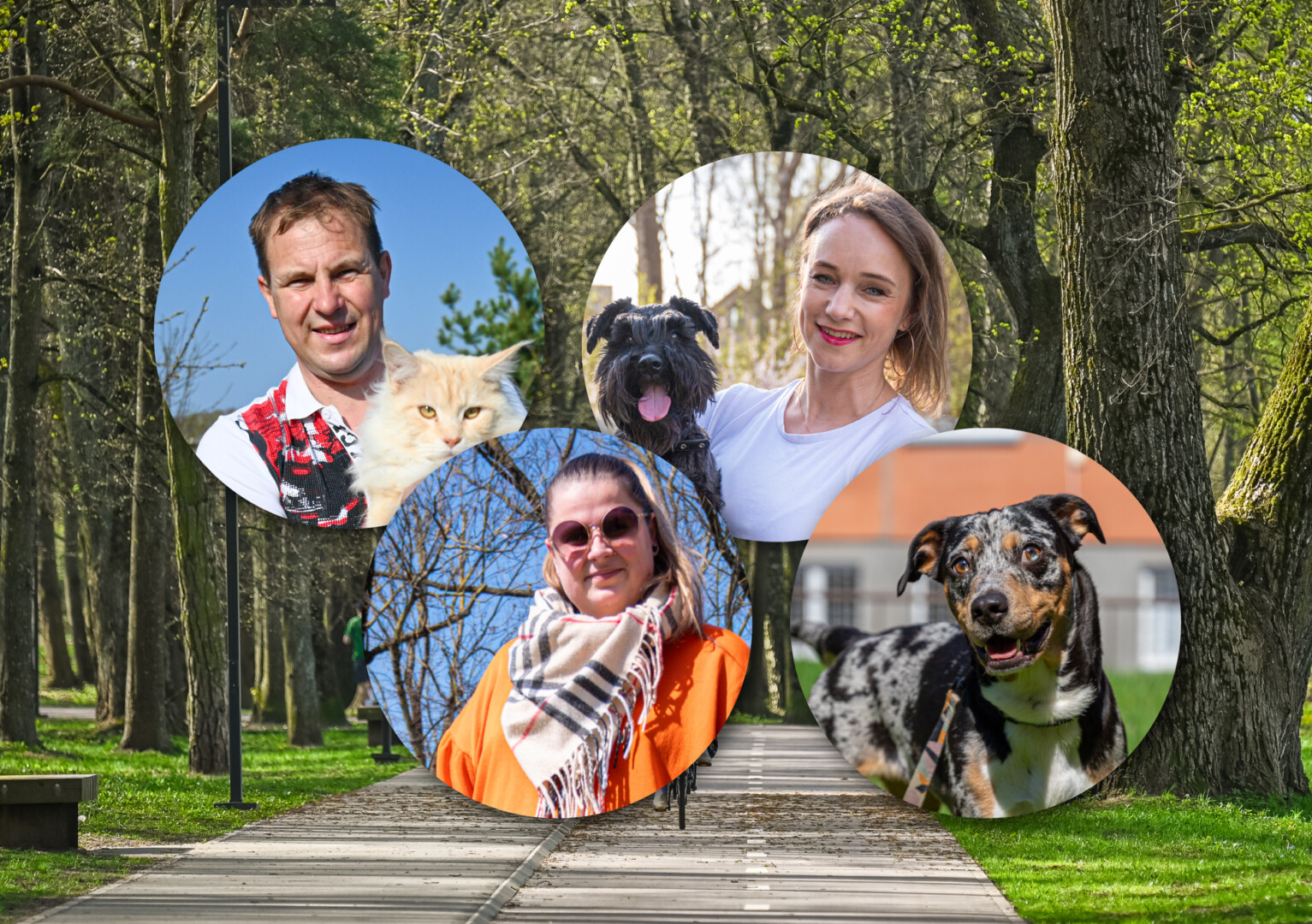 Turbūt kiekvienas pritars, kad augintinis namuose suteikia daug meilės, džiaugsmo ir gerų emocijų.