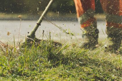 Panevėžio rajono seniūnijose nuo gegužės bus įdarbinti aštuoni etatiniai darbininkai.