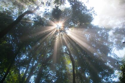 Po gan intensyvaus balandžio, suteikusio galimybę vėl grožėtis šiaurės pašvaistėmis, gegužė, išankstinėmis prognozėmis, neleis lengviau atsikvėpti.