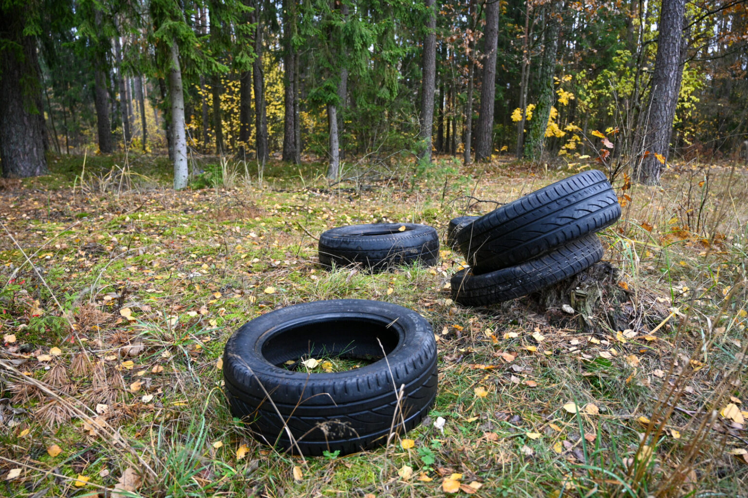 Nors į aplinką patekusioms padangoms savaime suirti reikia net 120–140 metų, vien Panevėžio regione miškininkai kasmet iškuopia apie 10 tonų į gamtą išmestų tokių atliekų.
