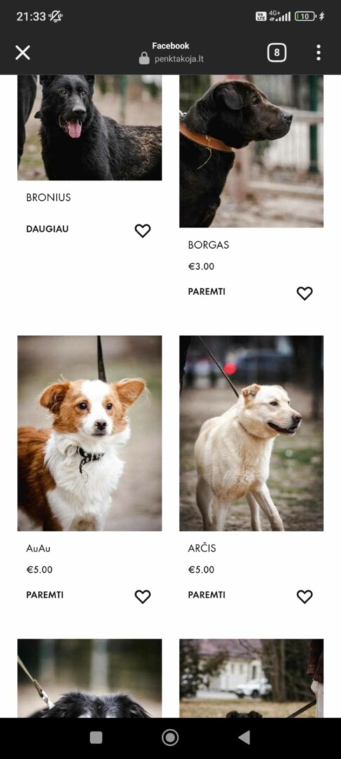 Prieglauda „Penkta koja“ prašė paaukoti Arčiui, tačiau šuo turi jį mylinčius šeimininkus ir tiesiog paslaptingai dingo iš aptverto namų kiemo voljero. SOCIALINIŲ TINKLŲ inf. 