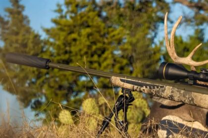 Seimas ketvirtadienį pritarė Ginklų ir šaudmenų kontrolės įstatymo pataisoms, kuriomis suteikiama galimybę duslintuvą naudoti sportininkams, medžiotojams, šauliams.