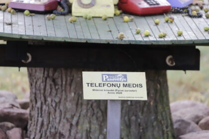 Panevėžio rajonas į savo lankytinų vietų sąrašą įtraukė dar septynis turistams įdomius objektus.