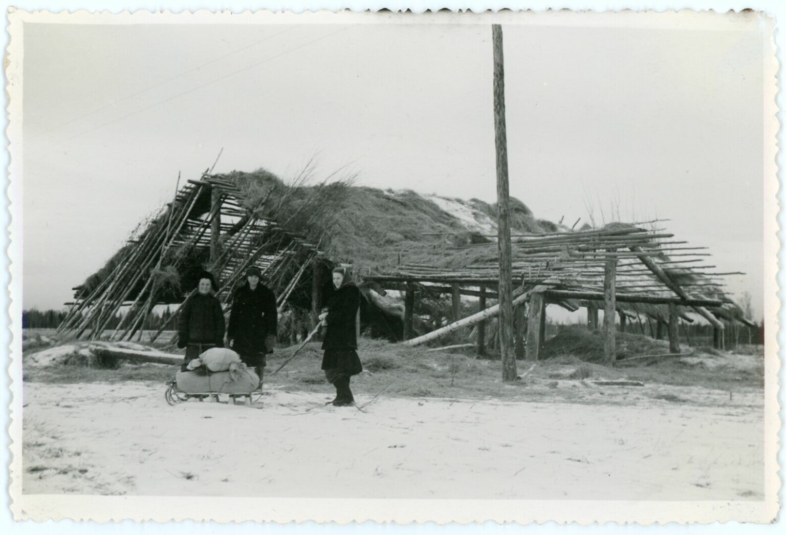 Kartais gyvenimas mėgsta pažaisti, pindamas ir perpindamas kelius. Tremtinį Steponą Pobedinską iš Naujamiesčio miestelio Panevėžio rajone su apskrities Gabrielės Petkevičaitės-Bitės viešąja biblioteka savaip suvedė fotomenininkė Kotryna Juškaitė, žiemą joje pristačiusi parodą „Tremtyje“. Joje eksponuotos ir penkios autentiškos S. Pobedinsko fotografijos, fiksavusios tremtinių gyvenimą Sibire.