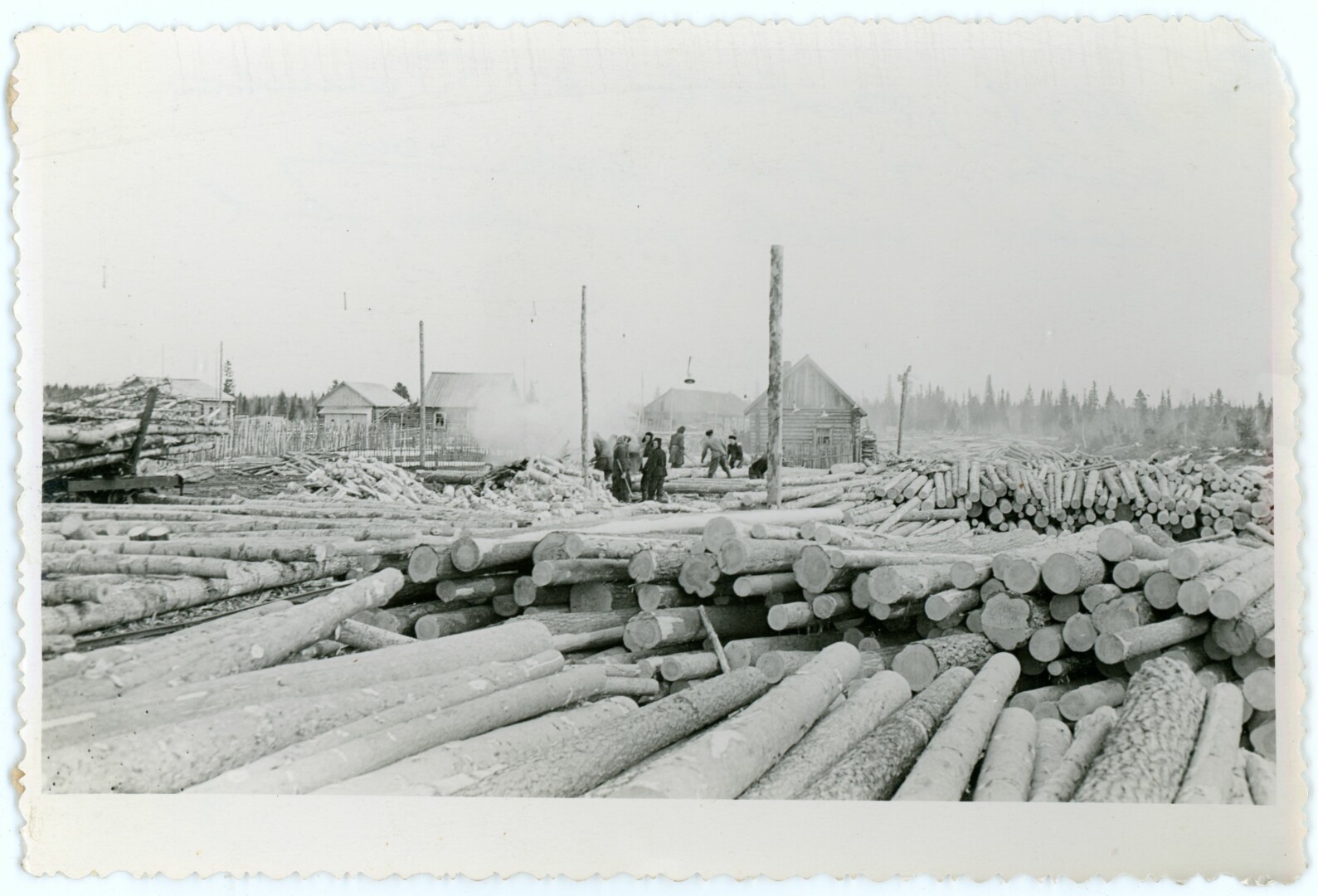 Tremtiniai prie miško ruošos darbų. 1957 m. S. POBEDINSKO nuotr. 