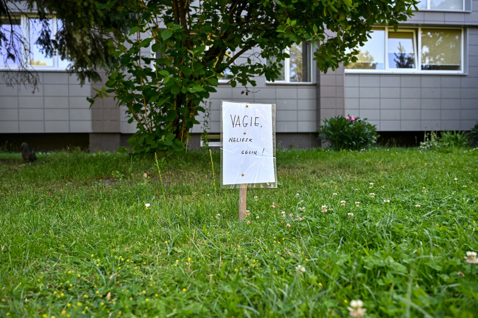 Gyventojams nebeapsikentus gėlių vagysčių, prie Beržų gatvės daugiabučio išdygo štai toks plakatas. G. KARTANO nuotr.