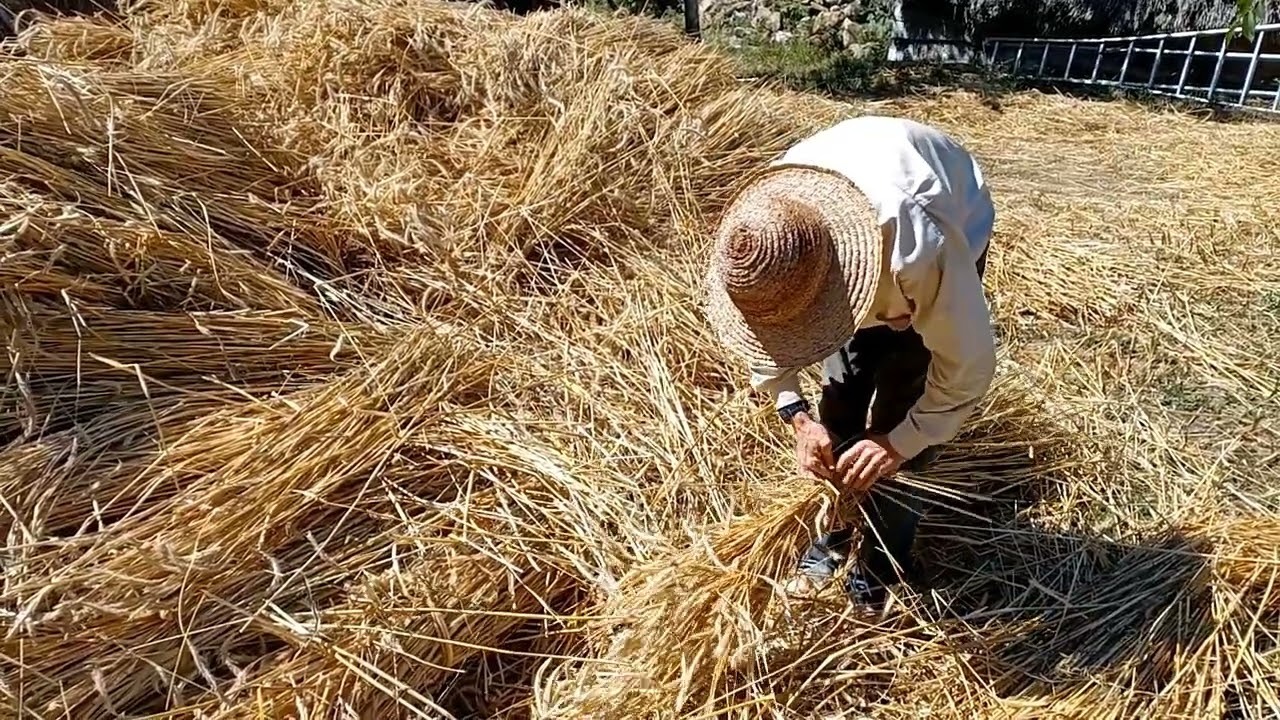 Jau savaitgalį krikščioniškasis pasaulis švęs Jėzaus Kristaus senelių – šventųjų Onos ir Joakimo vardadienius.