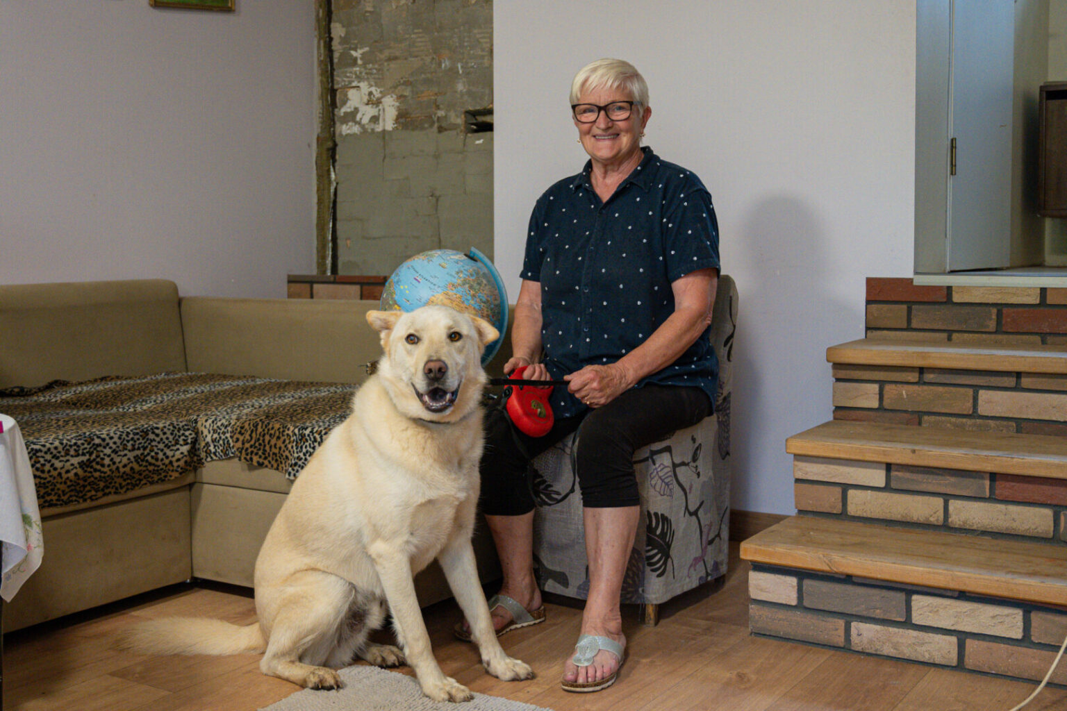 Šeima iš Panevėžio liko be žado, kai iš privataus namo kiemo pavogto šuns nuotrauką išvydo ne bet kur, o gyvūnų prieglaudos puslapyje.