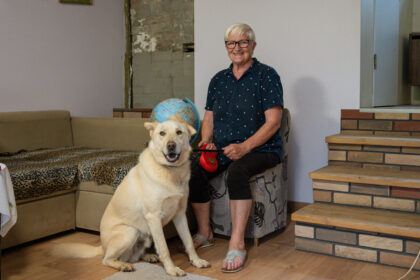 Šeima iš Panevėžio liko be žado, kai iš privataus namo kiemo pavogto šuns nuotrauką išvydo ne bet kur, o gyvūnų prieglaudos puslapyje.