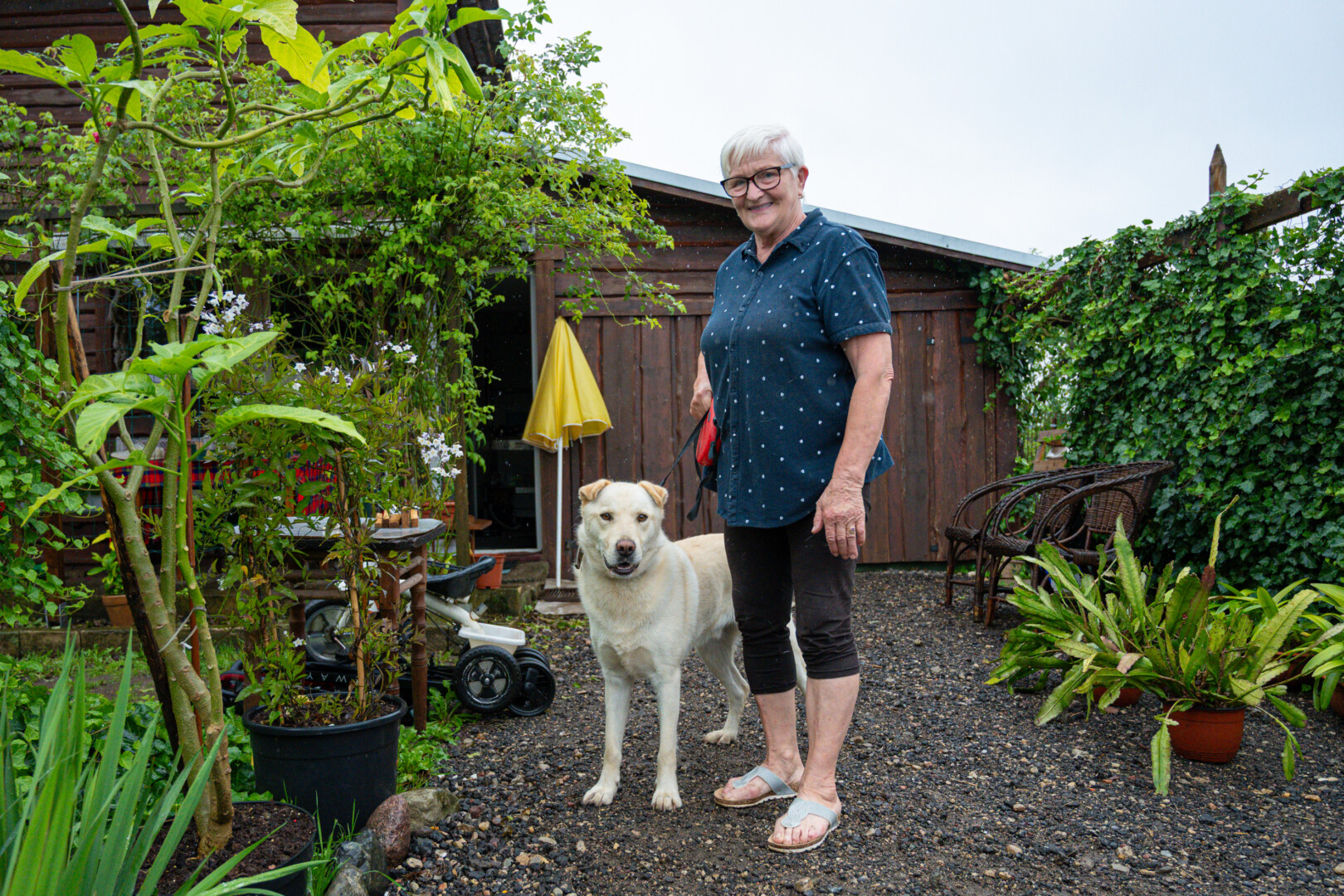 Net po septynis mėnesius trukusio vargo panevėžietei A. Puikienei pagaliau pavyko iš prieglaudos atgauti savo keturkojį. P. ŽIDONIO nuotr.