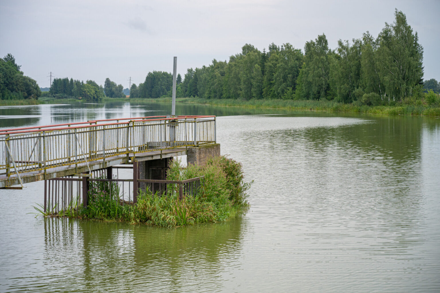 Pagaliau sulaukę vasaros šilumos, į didžiausią Krekenavos apylinkėse Lokaušos upelio užtvanką nusimaudyti atėję krekenaviškiai nustebo išvydę smaragdo spalvos vandenį.