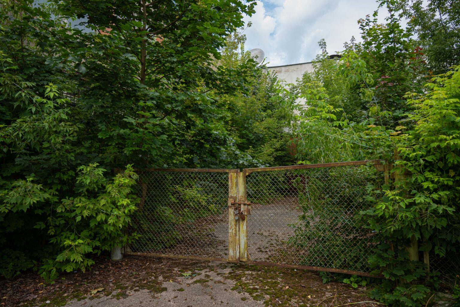 Prasidėjus paskutiniam vasaros mėnesiui Panevėžio savivaldybės viešosios tvarkos inspektoriai imasi tikrinti prieš porą mėnesių rastus apleistus kelias dešimtis privačių sklypų.