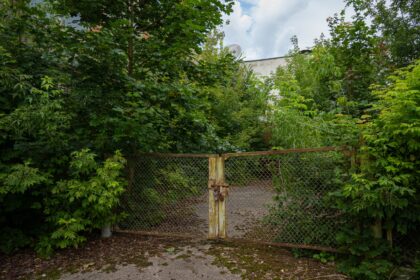 Prasidėjus paskutiniam vasaros mėnesiui Panevėžio savivaldybės viešosios tvarkos inspektoriai imasi tikrinti prieš porą mėnesių rastus apleistus kelias dešimtis privačių sklypų.