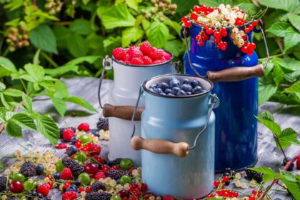 Paskutinį vasaros mėnesį sodai būna ypač dosnūs dovanų – tik spėk visų išragauti.