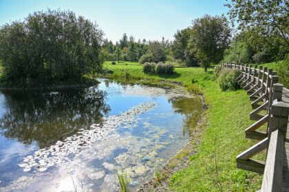 Prieš beveik porą metų vietoj apleisto šabakštyno Molainių gatvėje radęsis naujas Kniaudiškių parkas Eglės žalčių karalienės motyvais turėjo panevėžiečiams dovanoti visiškai naują erdvę natūralios gamtos glėbyje.