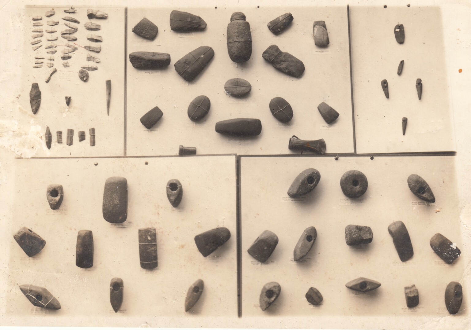 Panevėžio kraštotyros muziejaus archeologijos ekspozicijos fragmentas. Apie 1925–1928 m. PKM 6019 Fp