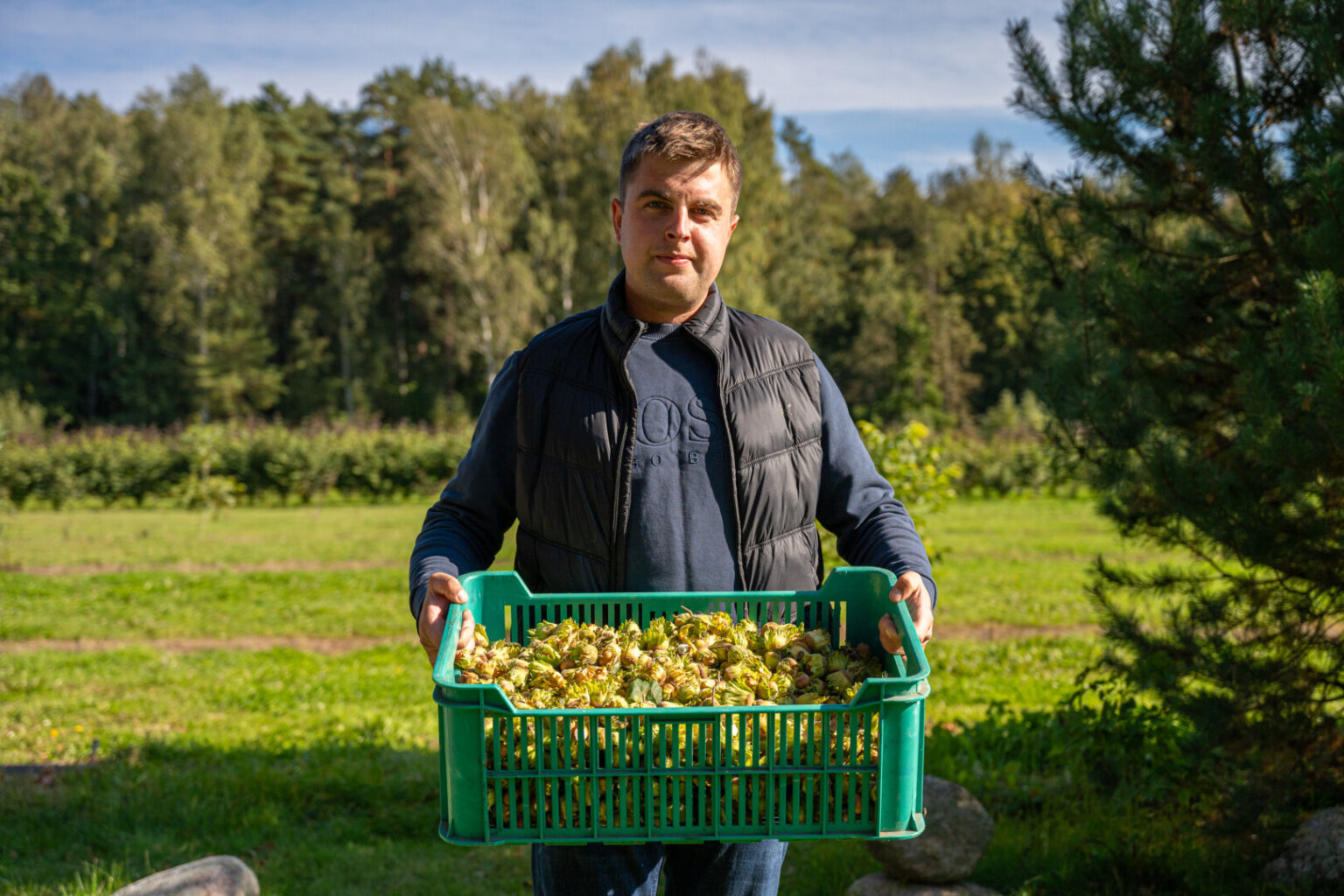 Dar prieš dešimtmetį lazdynai Lietuvoje buvo laikomi beverčiais krūmais, netinkamais net malkoms.