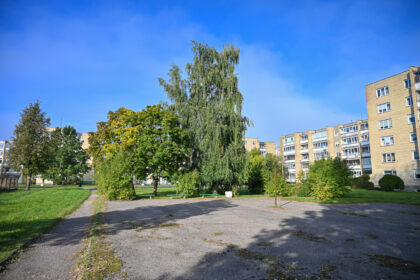 Panevėžio savivaldybei suradus rangovą, Dainavos gatvėje tarp daugiabučių namų dar šįmet planuojama pradėti aktyvaus poilsio erdvės – vaikų žaidimų ir sporto aikštelių – įrengimo darbus.