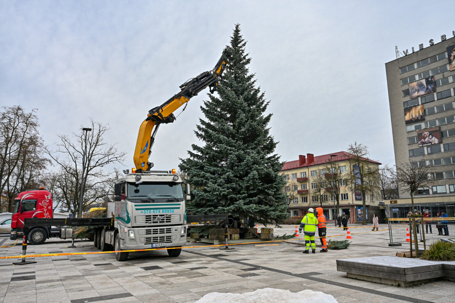 Panevėžyje jau kvepia Kalėdomis. Į Laisvės aikštę sekmadienį atgabenta panevėžiečių šeimos dovanota eglė.