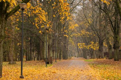 Lapkričio pradžioje Lietuvoje išliks šilti ir ramūs orai, praneša sinoptikė.