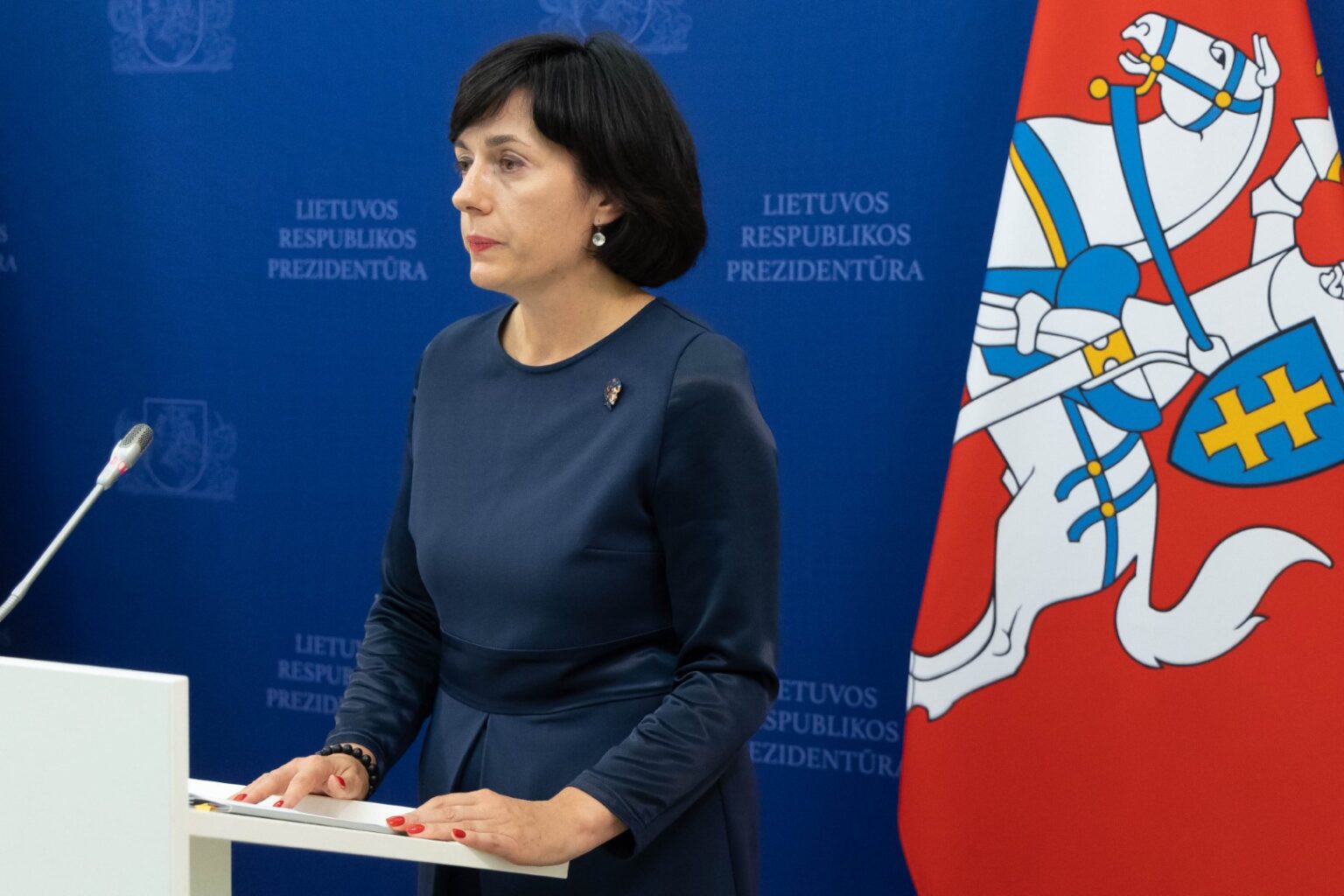 Valdantieji socialdemokratai į Kultūros ministerijos vadovės postą siūlo parlamentarės Vaidos Aleknavičienės kandidatūrą, sako partijos pirmininkas Mindaugas Sinkevičius.