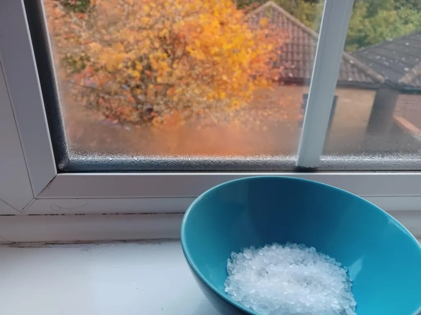 Kiekvieną rudenį ir žiemą ant kai kurių namų palangių galima pamatyti keistą vaizdą – lėkštę su druska.