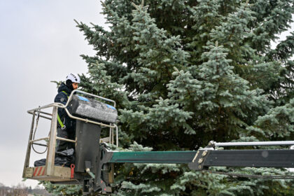 Panevėžys ruošiasi Kalėdų eglės įžiebimo šventei: laikinai keisis eismas