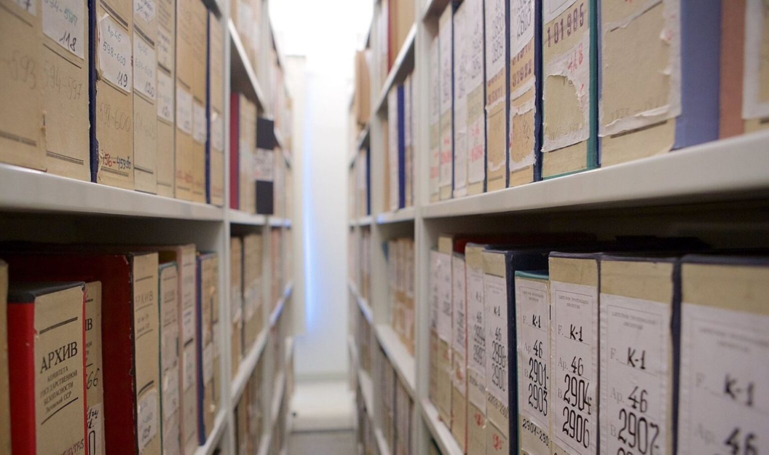 Vyriausybė nepritaria pavasarį Seime pradėtoms svarstyti konservatoriaus Arvydo Anušausko ir „Nemuno aušros“ lyderio Remigijaus Žemaitaičio iniciatyvoms, kuriomis siekiama išslaptinti buvusius KGB bendradarbius.