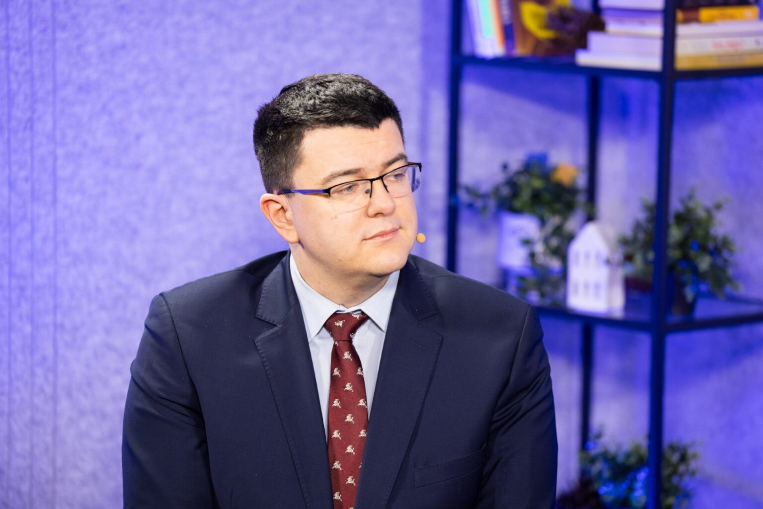 Mišrios Seimo narių grupės narys Vytautas Sinica siūlo panaikinti baudžiamąją atsakomybę už vadinamąją „neapykantos kalbą“, išskyrus atvejus, kai viešai kurstoma smurtauti ar fiziškai susidoroti su tam tikra žmonių grupe.